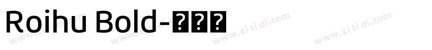 Roihu Bold字体转换